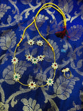 prajaktaa haar